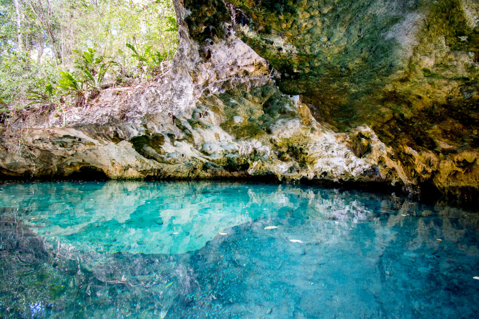cenote casa tortuga excurion francophone