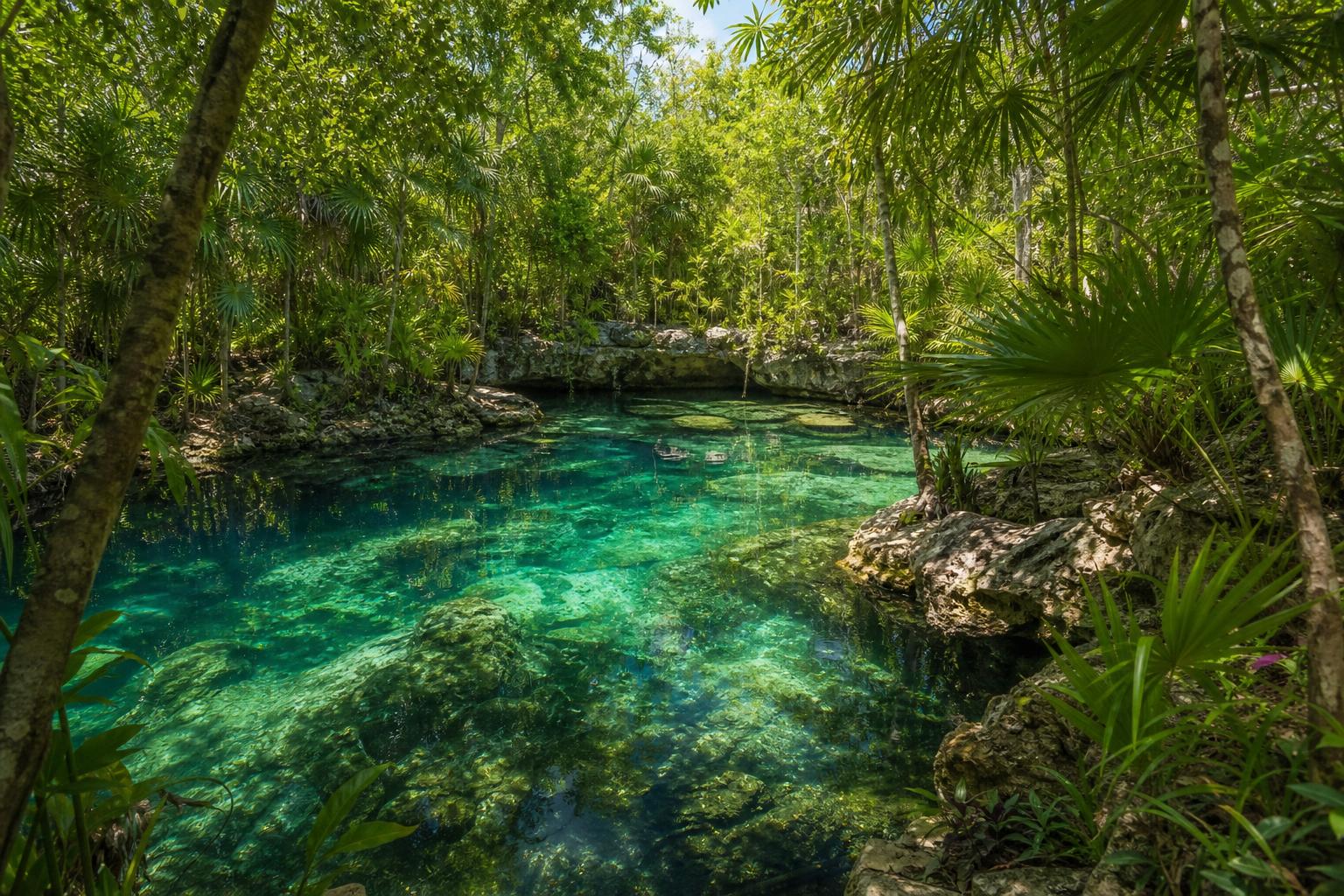 découvrez les activités et découvertes incontournables à tulum au-delà des ruines mayas : plages paradisiaques, cenotes, gastronomie locale et aventures naturelles pour un séjour inoubliable.