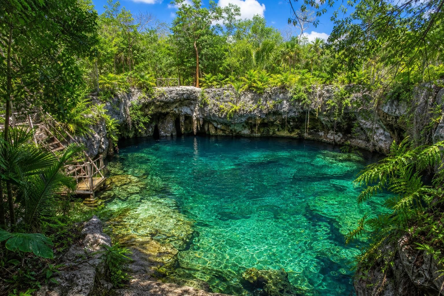 découvrez les différences entre cenotes ouverts et fermés pour choisir l'expérience idéale qui rendra votre aventure unique et inoubliable au cœur de la nature mexicaine.