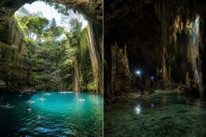 Cenotes ouverts vs cenotes fermés : quelle expérience choisir pour votre aventure unique
