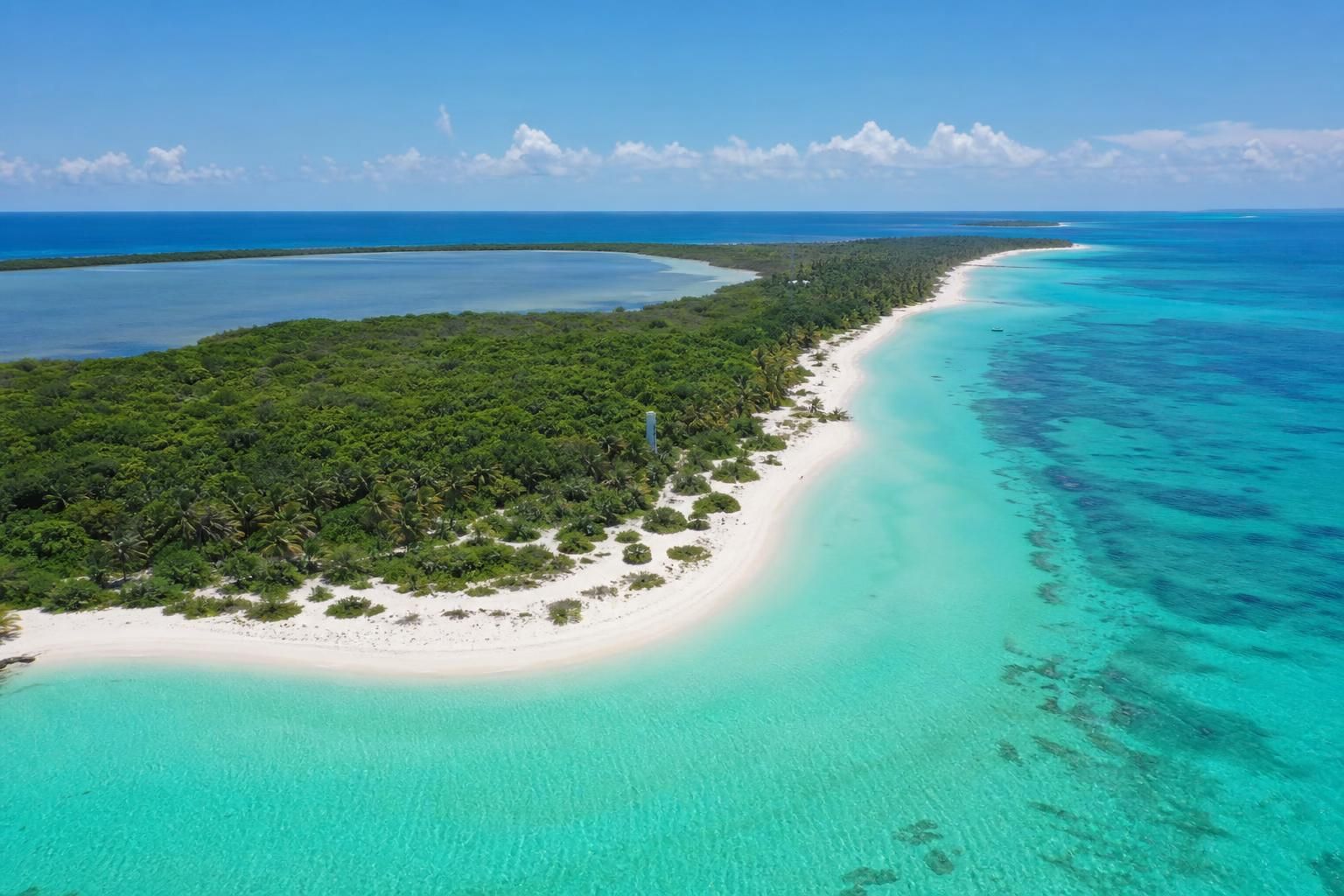 explorez l'île préservée de contoy, une destination naturelle exceptionnelle, et vivez la visite la plus sauvage de la région entre plages immaculées, faune protégée et paysages intacts.