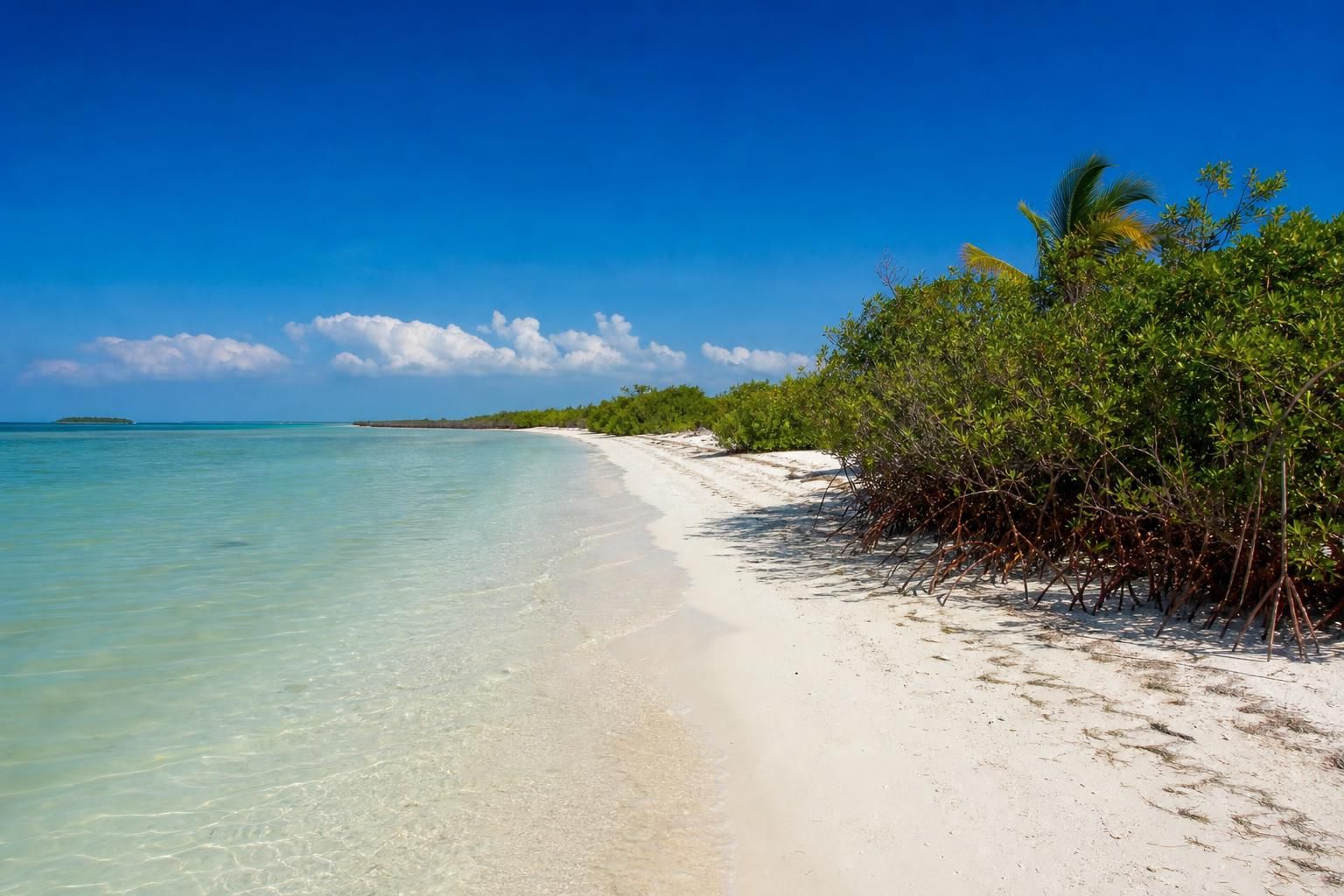 découvrez si holbox en 2026 mérite toujours une visite malgré les changements récents. guide complet pour préparer votre voyage sur cette île unique.
