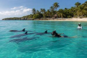 Nager avec les dauphins en Riviera Maya de manière éthique : guide et conseils pratiques