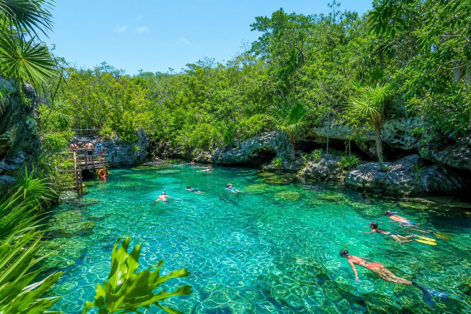 découvrez notre sélection des meilleurs cenotes près de tulum pour vivre une expérience inoubliable au cœur de la nature mexicaine.