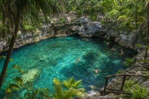 Les meilleurs cenotes près de Tulum : notre sélection pour une visite inoubliable