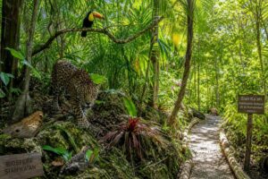 Découverte de la biosphère de sian ka&rsquo;an : faune, flore et conseils pour s&rsquo;y rendre