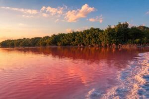 Découvrez las coloradas et rio lagartos : le mystère du lac rose du mexique