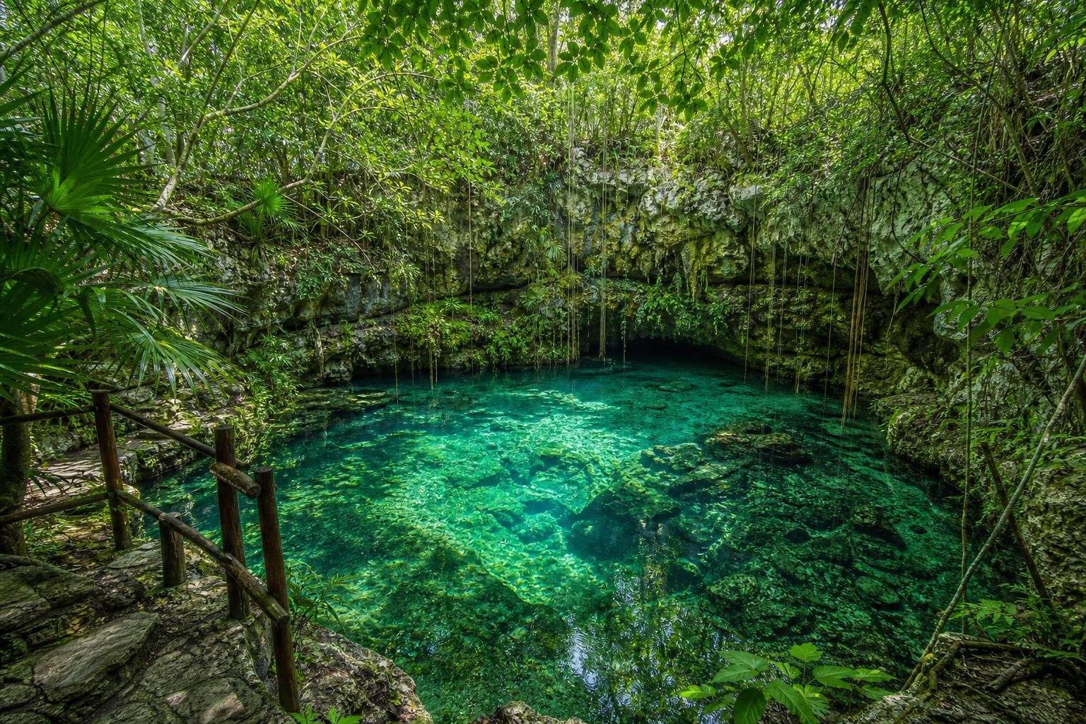 explorez les cenotes secrets près de playa del carmen, des lieux cachés hors des sentiers battus pour une aventure unique et authentique au cœur de la nature mexicaine.