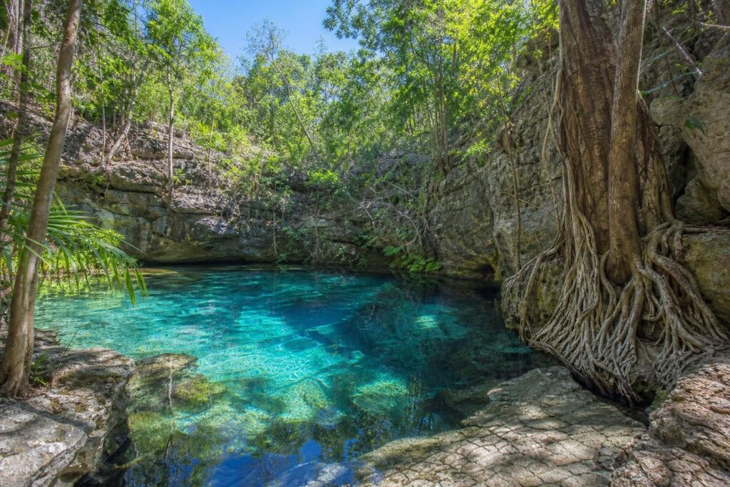 explorez les cenotes secrets près de playa del carmen, des lieux exceptionnels hors des sentiers battus pour une aventure unique et authentique.