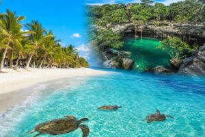 Découvrir akumal : plage paradisiaque, baie des tortues et cenotes incontournables