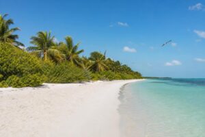 Découvrir isla contoy : l&rsquo;île vierge protégée près de cancun à visiter absolument