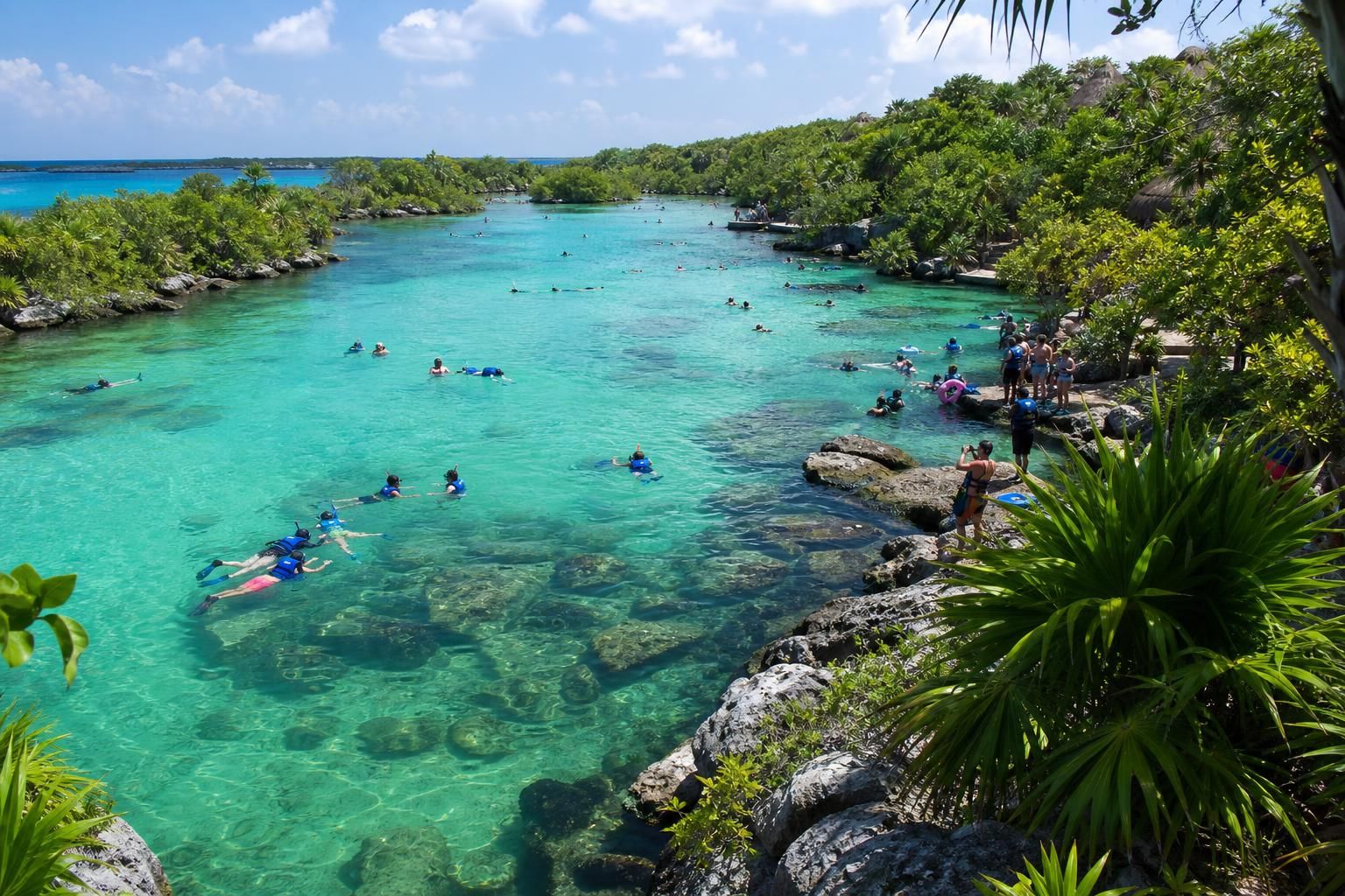 découvrez xel-há, le parc de snorkeling tout inclus à playa del carmen, un paradis naturel où aventures aquatiques et détente se conjuguent pour une expérience inoubliable.