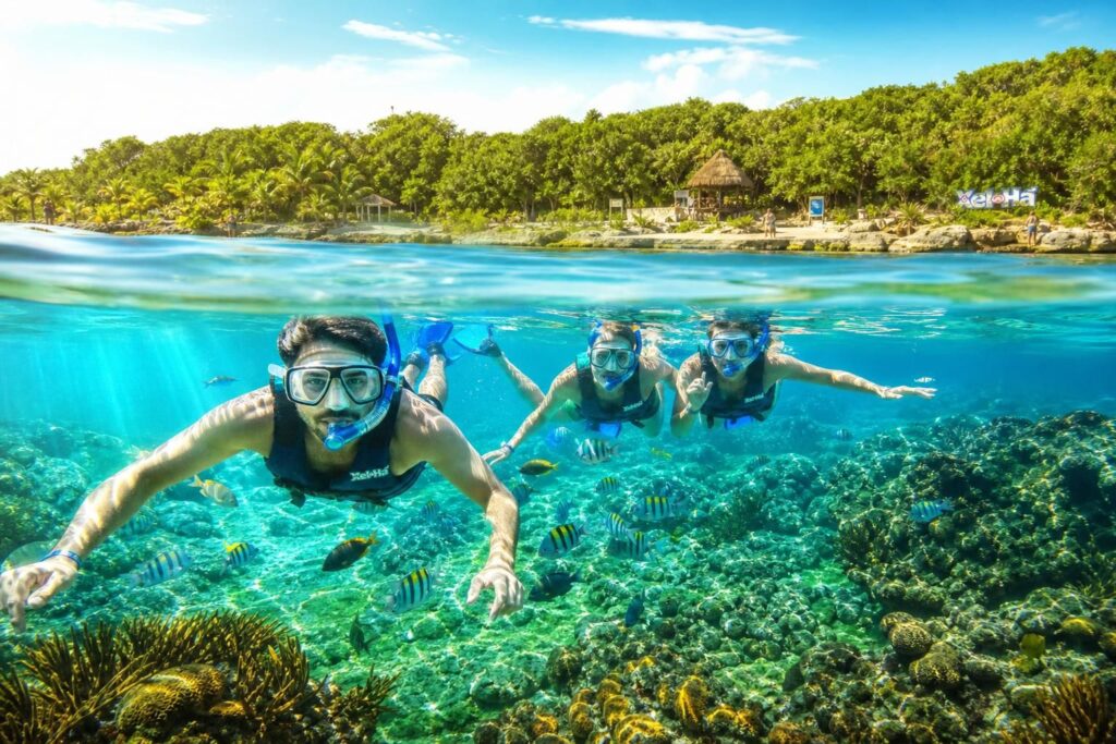 explorez xel-há, le parc de snorkeling tout inclus à playa del carmen, et profitez d'une expérience unique en pleine nature avec faune marine, activités aquatiques et détente.