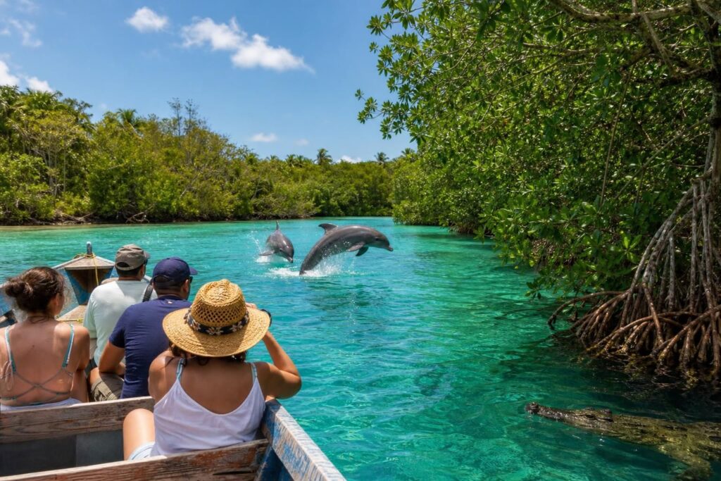 partez en excursion en bateau à sian ka'an pour observer dauphins et crocodiles dans leur habitat naturel, une expérience inoubliable au cœur de la nature sauvage.