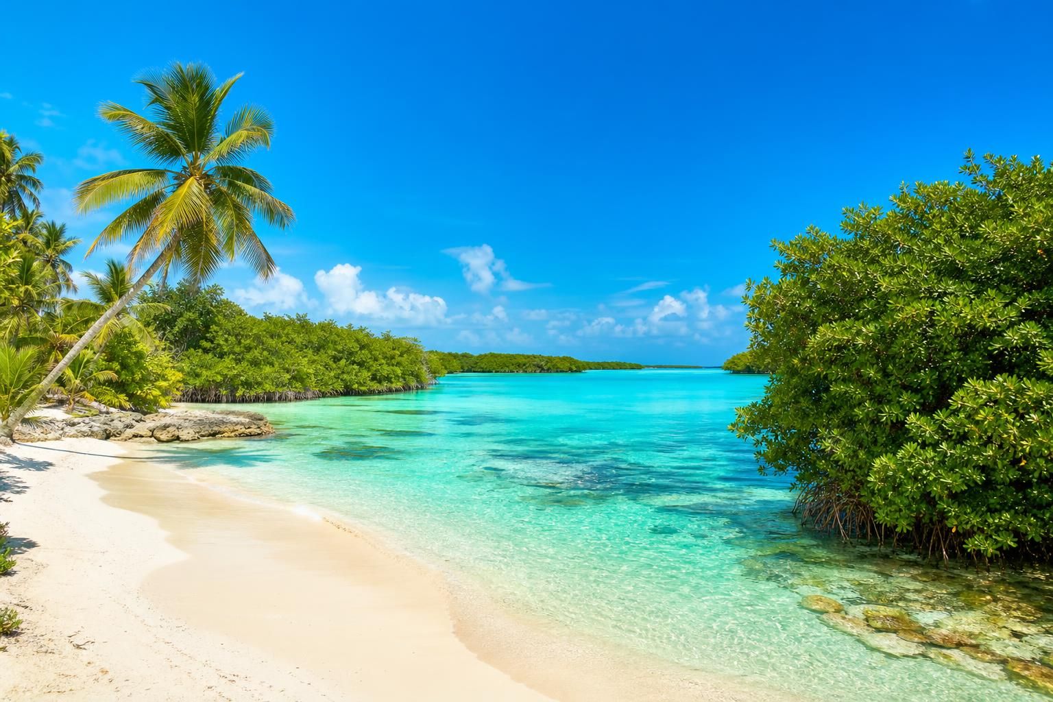 découvrez l'éco-tourisme en riviera maya et vivez un séjour responsable au mexique, alliant exploration durable, respect de l'environnement et immersion culturelle.