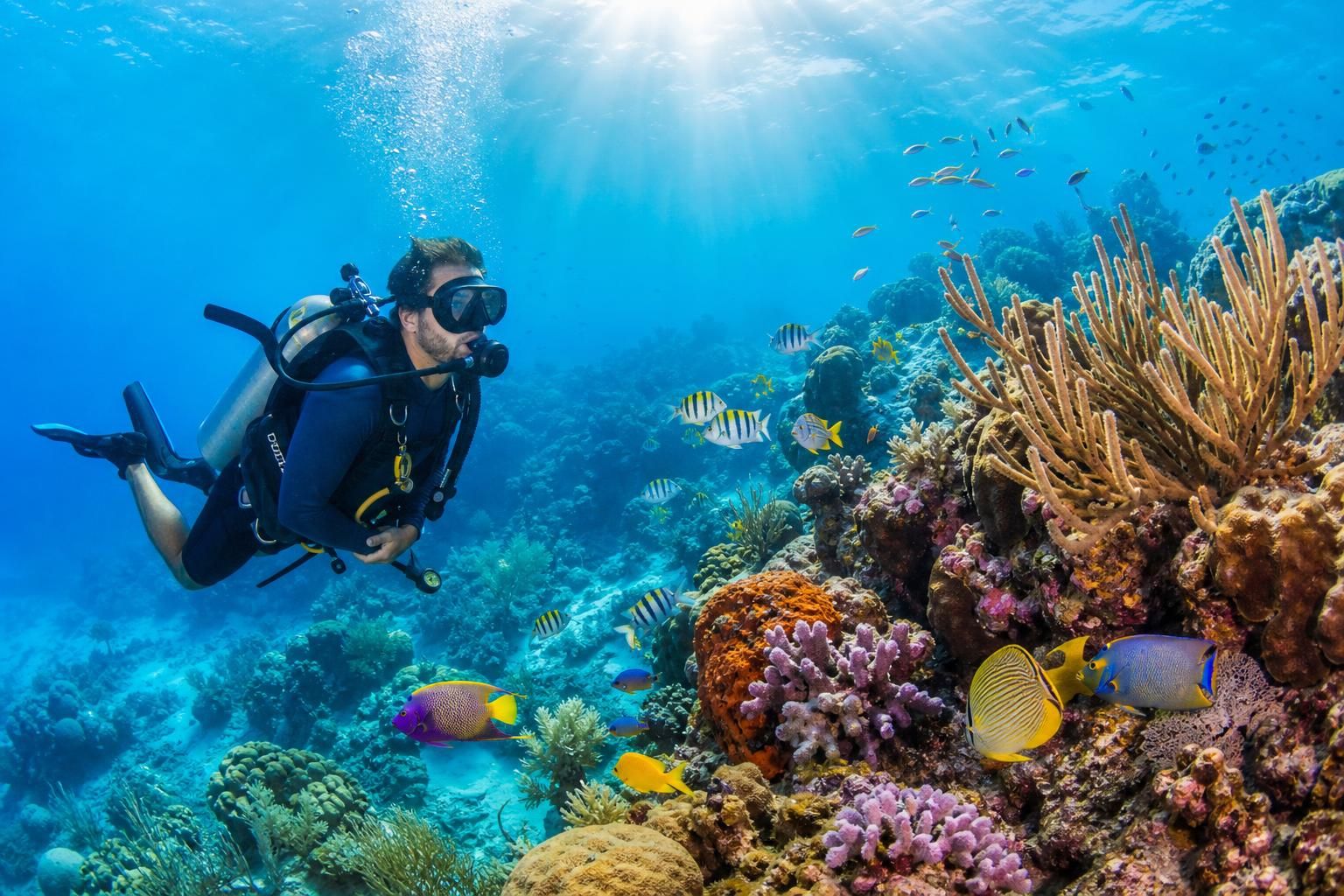 explorez les meilleurs sites de plongée sous-marine en riviera maya, adaptés à tous les niveaux, et plongez dans des eaux cristallines riches en faune marine exceptionnelle.