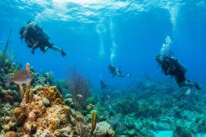 Plongée sous-marine en Riviera Maya : découvrez les meilleurs sites adaptés à tous les niveaux