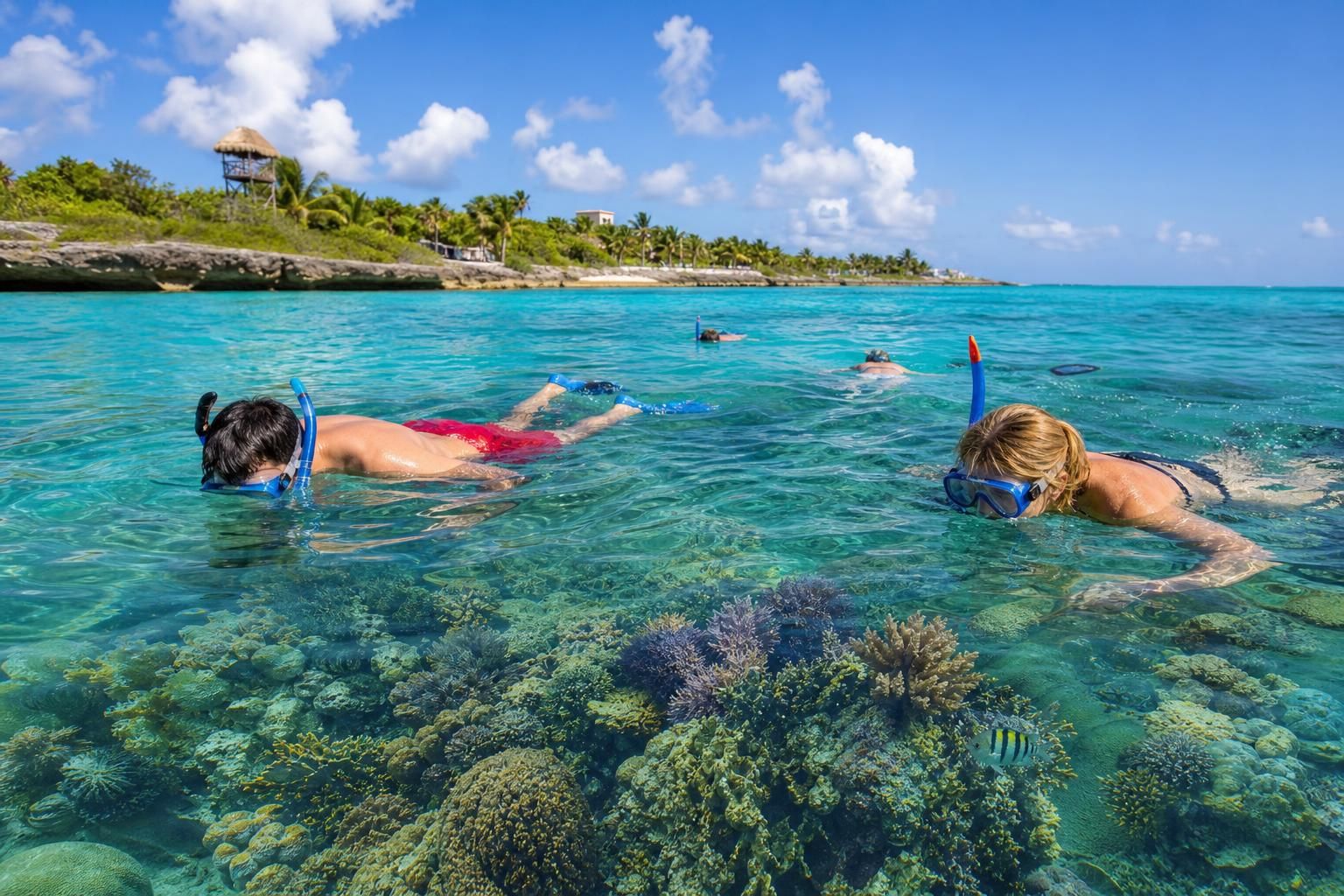 découvrez comment choisir la meilleure agence pour organiser une sortie inoubliable à cozumel depuis playa del carmen. conseils, critères et recommandations pour une excursion réussie.