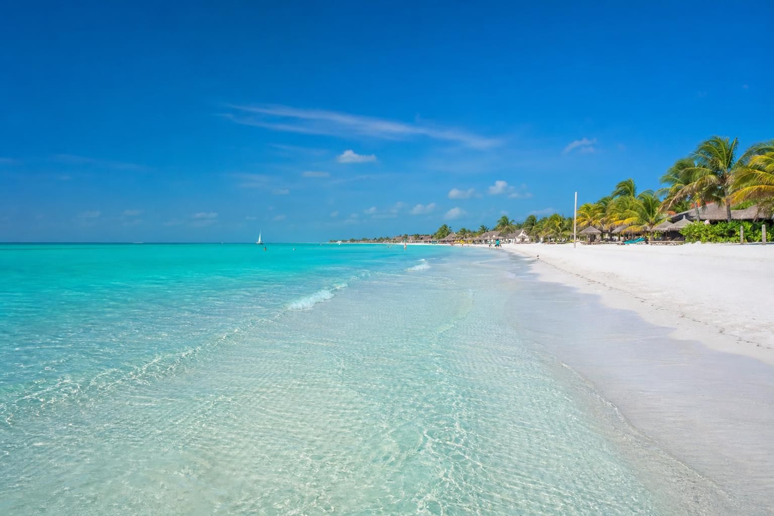 découvrez quelle agence choisir pour une excursion inoubliable à holbox depuis cancún ou playa del carmen. conseils et recommandations pour une expérience réussie.