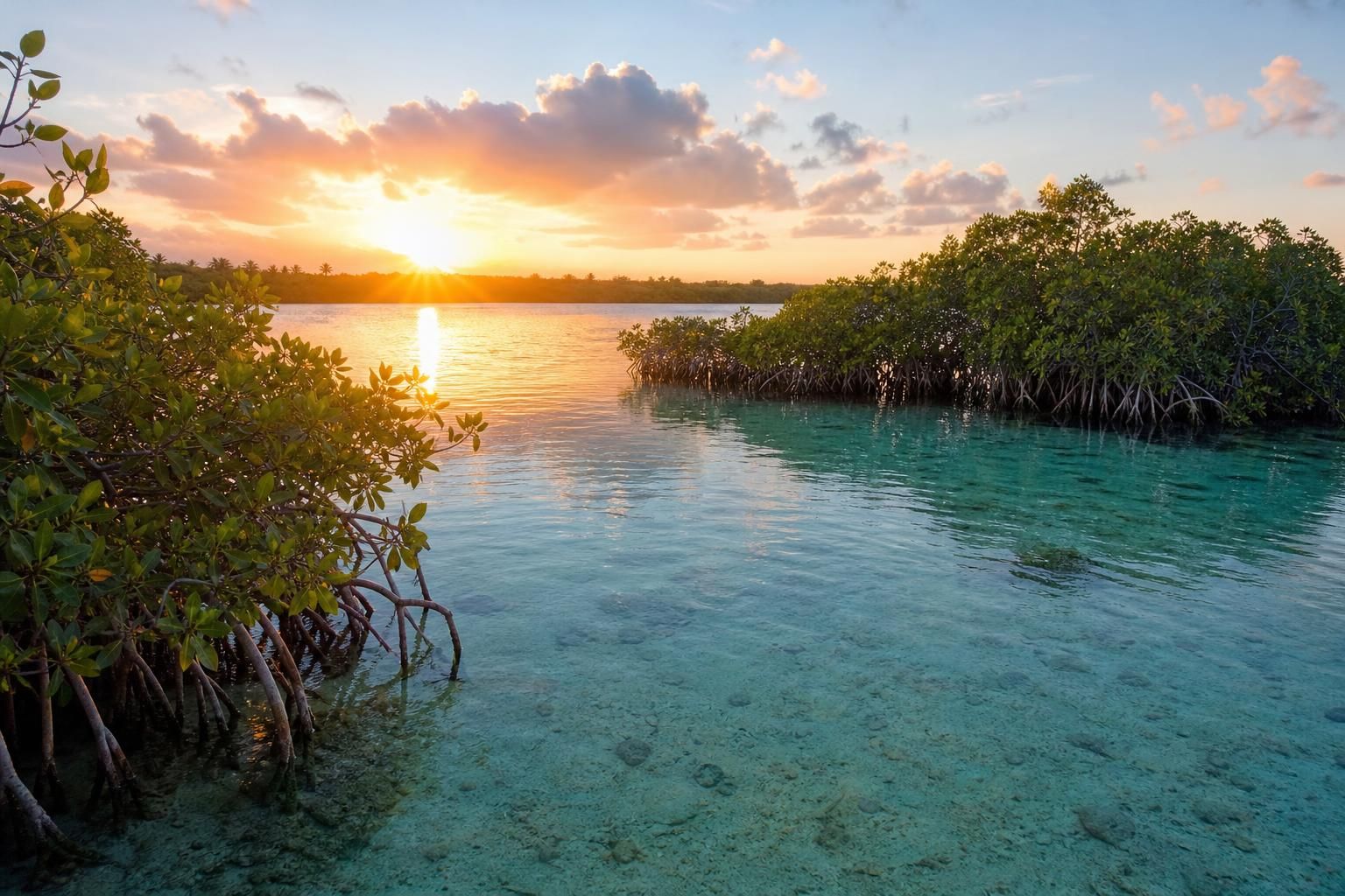 découvrez qui contacter pour organiser votre visite en toute sérénité de la réserve de biosphère de sian ka’an, un site naturel exceptionnel à ne pas manquer.